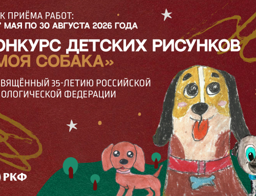 Конкурс детских рисунков «Моя собака»