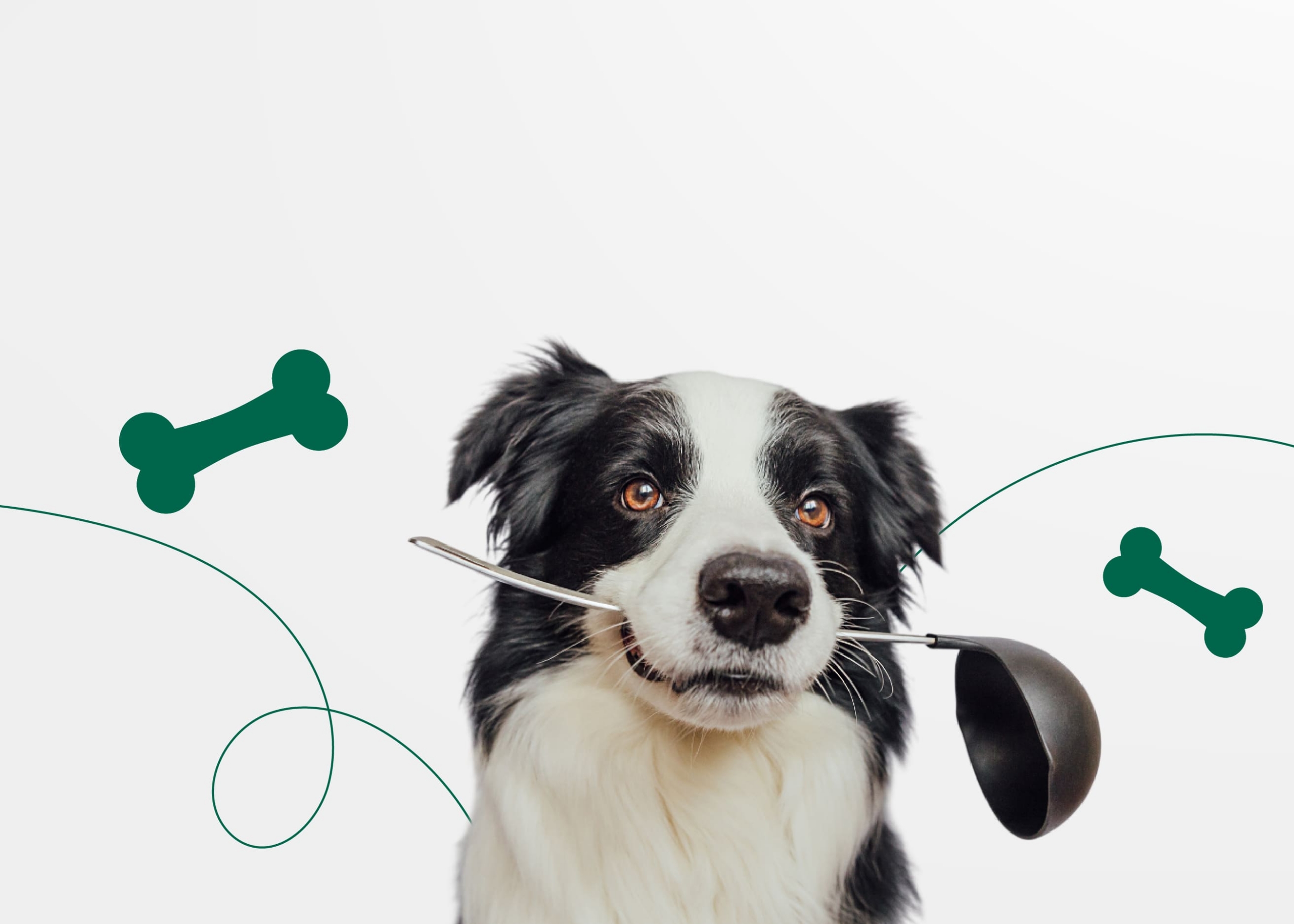 ПОЛЕЗНЫЕ ЛАКОМСТВА ДЛЯ СОБАКИ СВОИМИ РУКАМИ