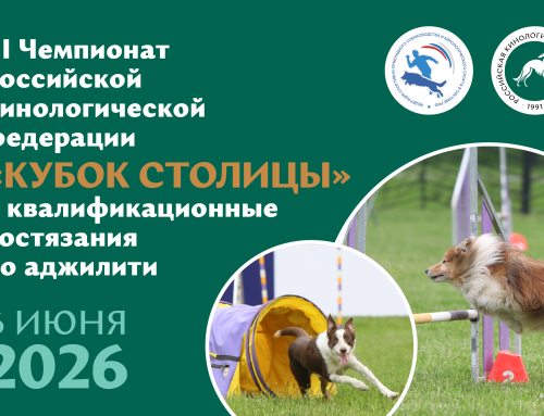 III Чемпионат Российской кинологической федерации «КУБОК СТОЛИЦЫ» и квалификационные состязания по аджилити