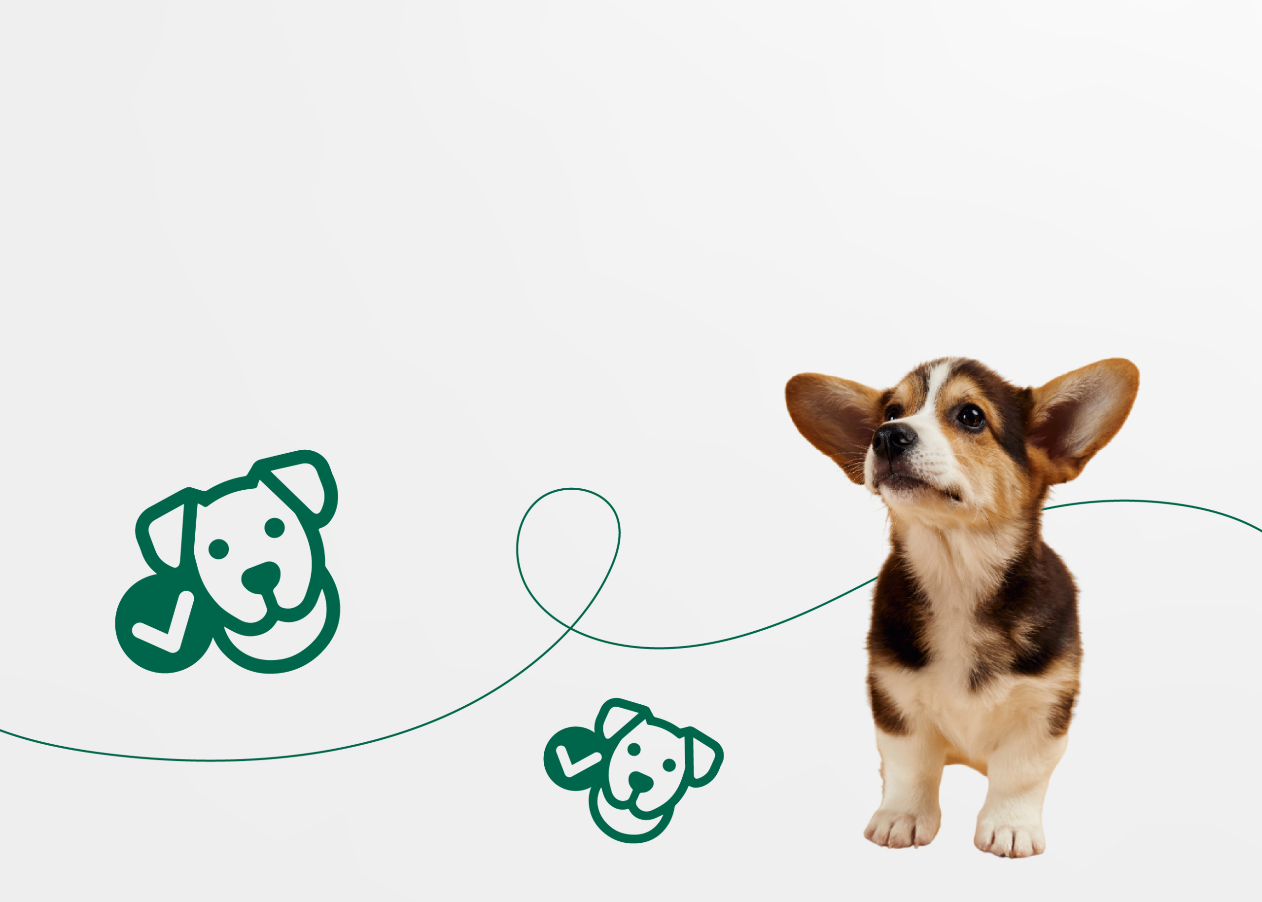 Что такое метрика щенка?