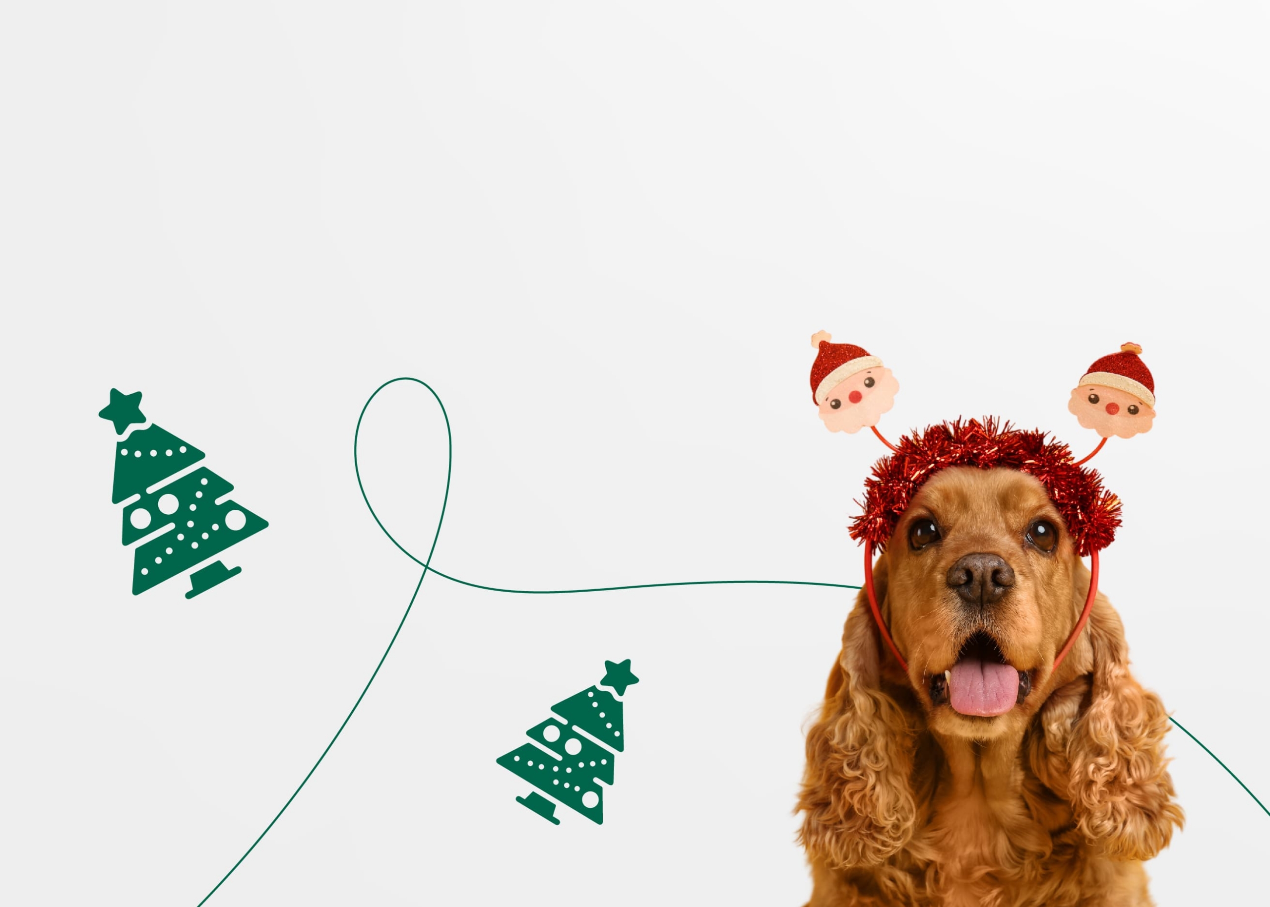 Новогодние праздники с собакой