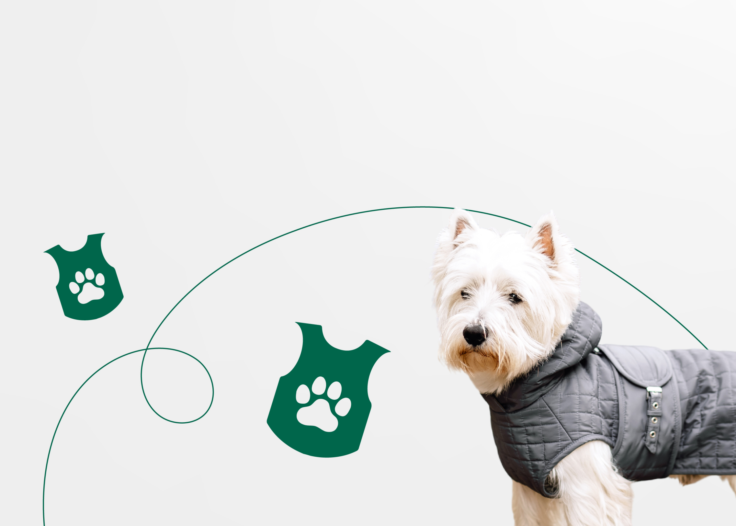 Одежда для собак