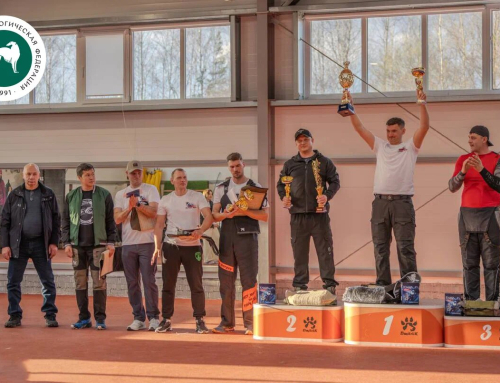 Квалификационный отбор помощников судьи в защитном разделе по дисциплинам FCI IGP и ЗКС 2026