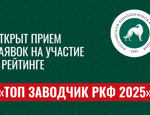 Открыт прием заявок на участие в рейтинге «Топ заводчик РКФ 2025»