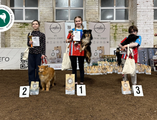 Первенство России по скоротному двоеборью (аджилити)