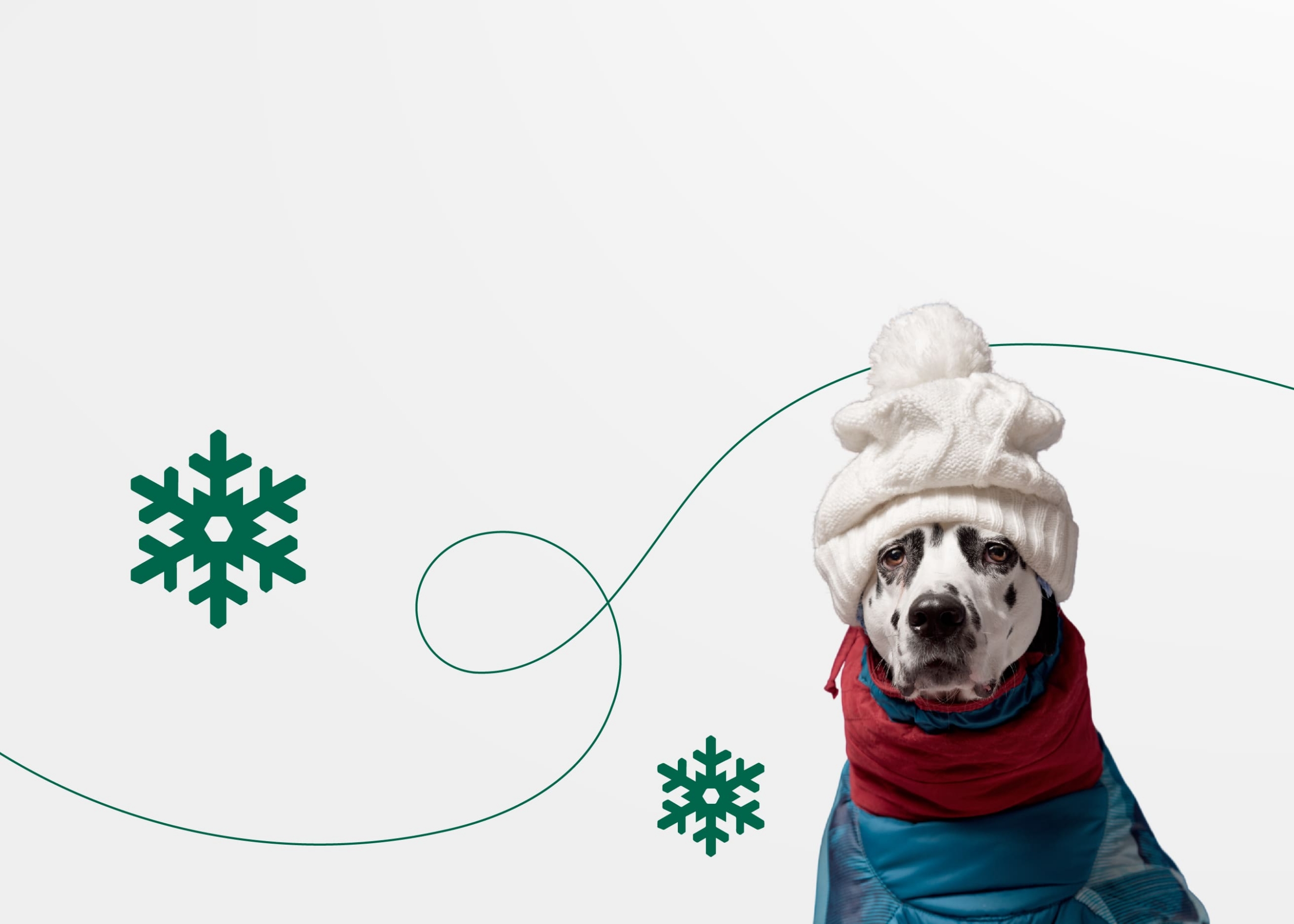 Как подготовить собаку к зимнему сезону