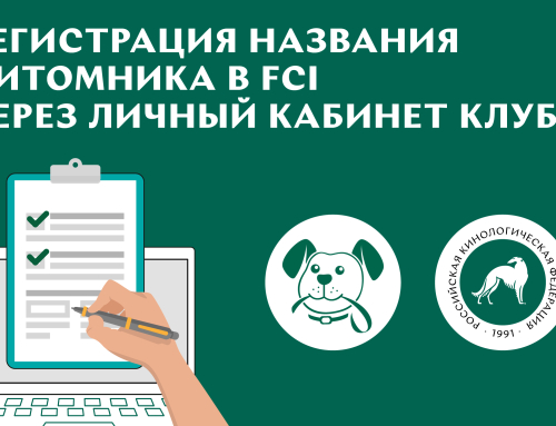Новый функционал в личных кабинетах клуба на платформе RKF.Online