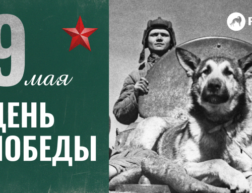 С Днём Великой Победы!