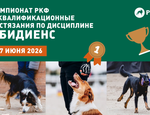 Чемпионат РКФ и квалификационные состязания по дисциплине Обидиенс