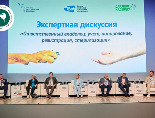 РКФ приняла участие в Форуме гуманного отношения к животным