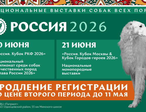 Продление регистрации на выставку «Россия 2026» по цене второго периода