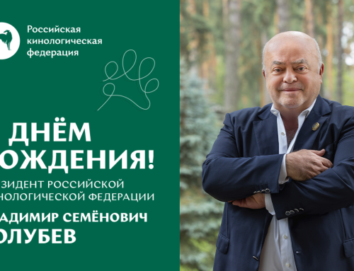 Поздравление с днём рождения Президента РКФ Владимира Семёновича Голубева