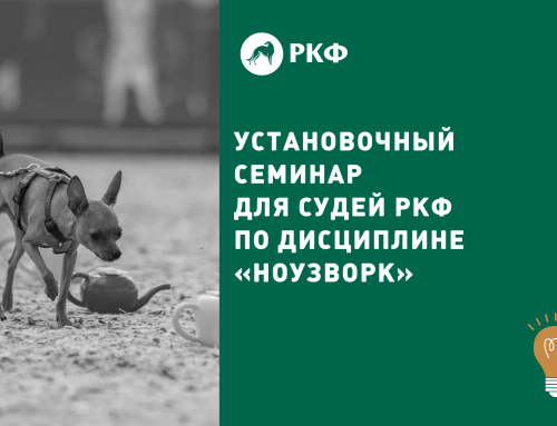 Установочный семинар для судей РКФ по дисциплине «Ноузворк»