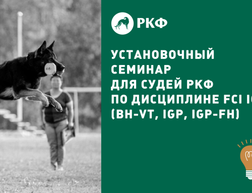 Установочный семинар для судей РКФ по дисциплине FCI IGP (BH-VT, IGP, IGP-FH)