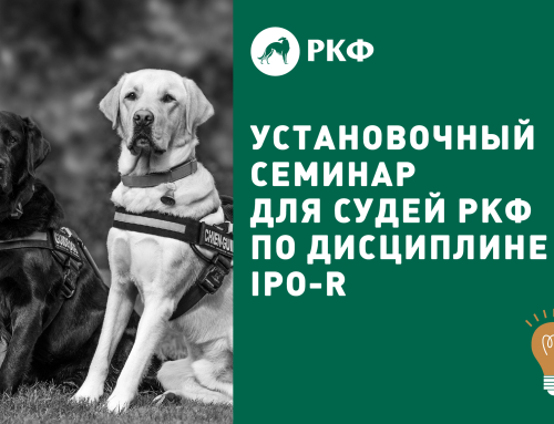 Семинар для судей РКФ по дисциплине IPO-R