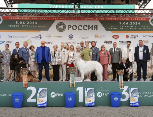 ЧЕМ УДИВИТ ВЫСТАВКА «РОССИЯ-2026»: РЕДКИЕ ПОРОДЫ, ПРЕСТИЖНЫЕ КУБКИ И ПЕРВЫЙ ДОГ-ДАРТБИ