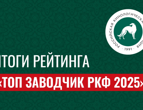 Результаты рейтинга «Топ заводчик РКФ 2025»