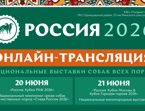 Онлайн-трансляция выставок «Россия 2026»