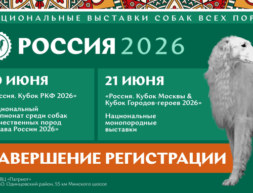 Последний день регистрации на выставки «Россия 2026»