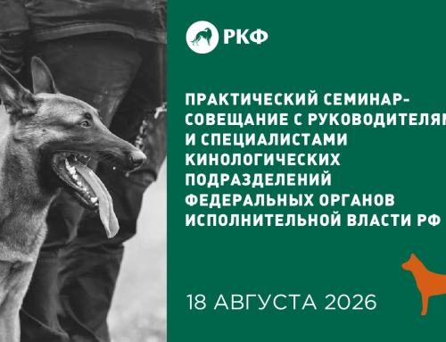 Практический семинар-совещание с руководителями и специалистами кинологических подразделений ФОИВ