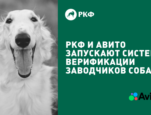 РКФ и Авито запускают систему верификации заводчиков собак