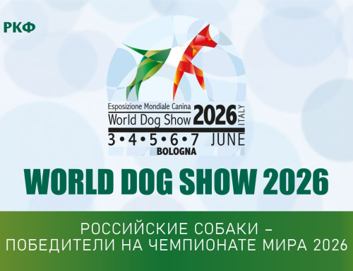 Российские собаки-победители на World Dog Show 2026