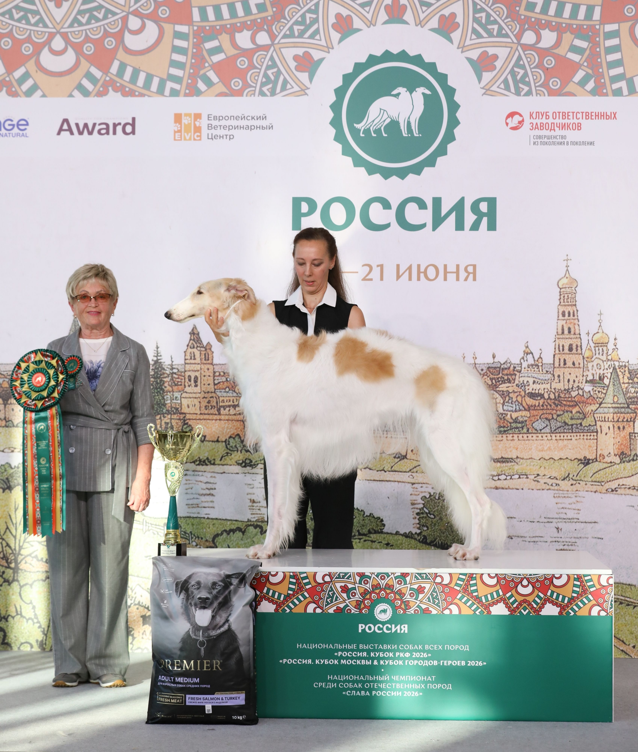 20.06 Лучшая собака 10 группы 2
