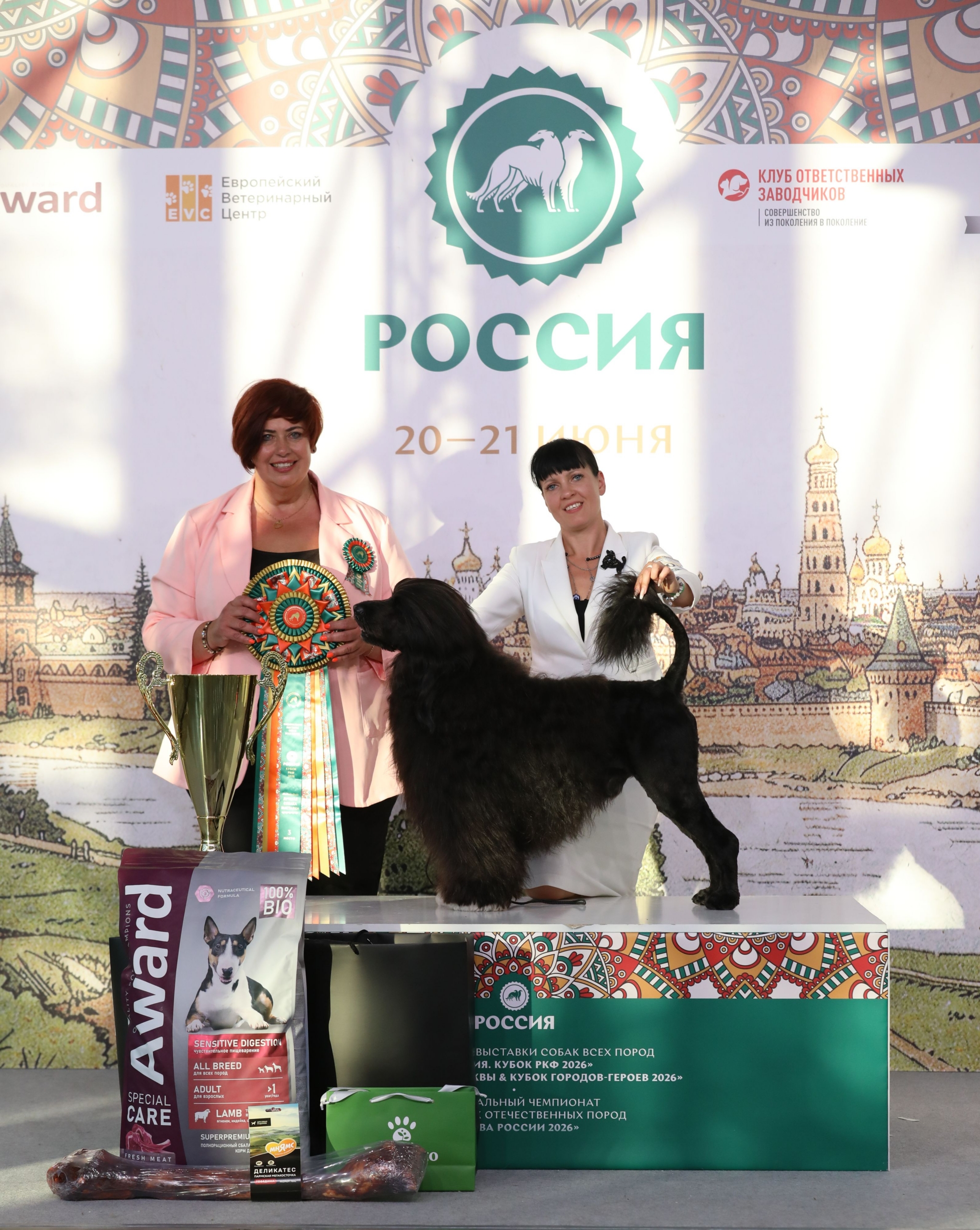 20.06 Лучшая собака выставки 3