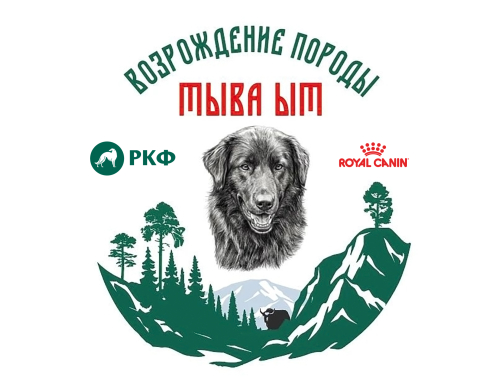 Экспедиция, круглый стол, праздник Наадым и выставка: в Туве РКФ делает новый шаг к спасению породы тыва ыт