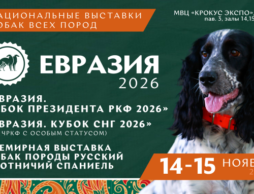 Открыта регистрация на выставки «Евразия 2026»