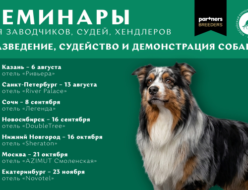 В каких городах пройдут новые семинары РКФ по собаководству
