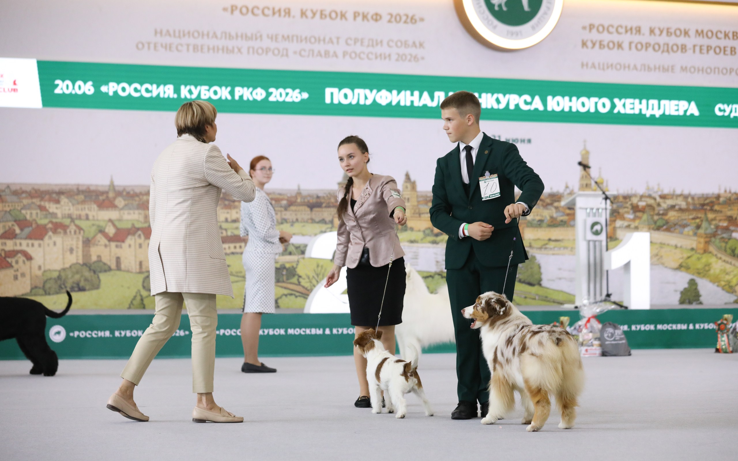 Выставка собак Россия 2026 (23)