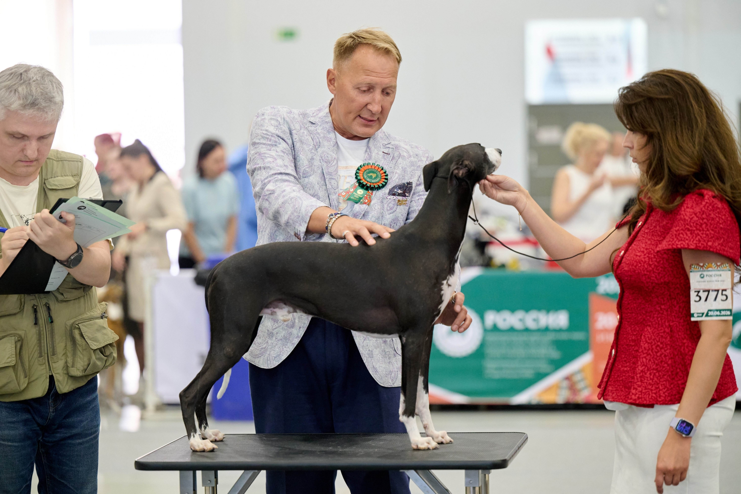 Выставка собак Россия 2026 (27)