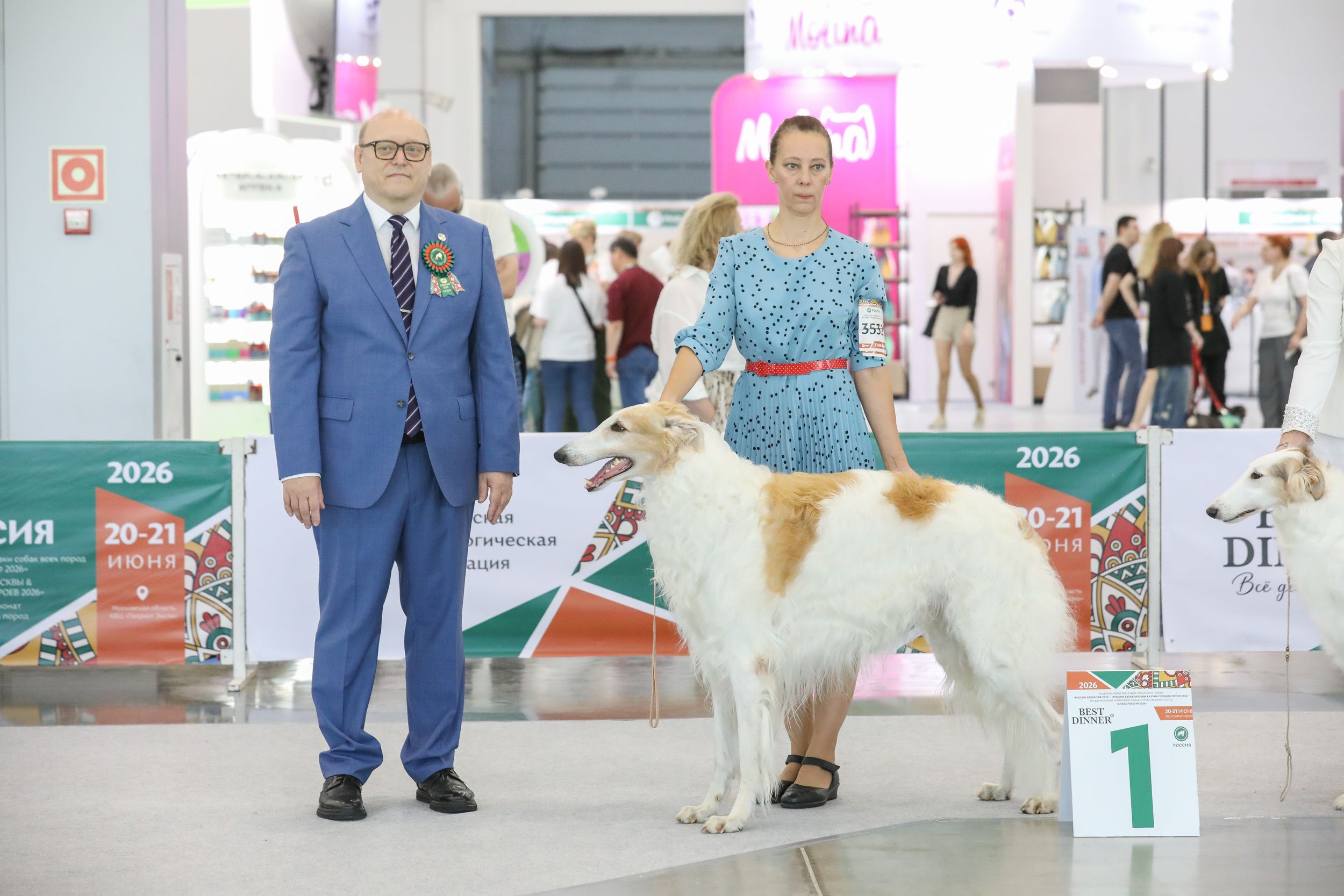 Выставка собак Россия 2026 (5)