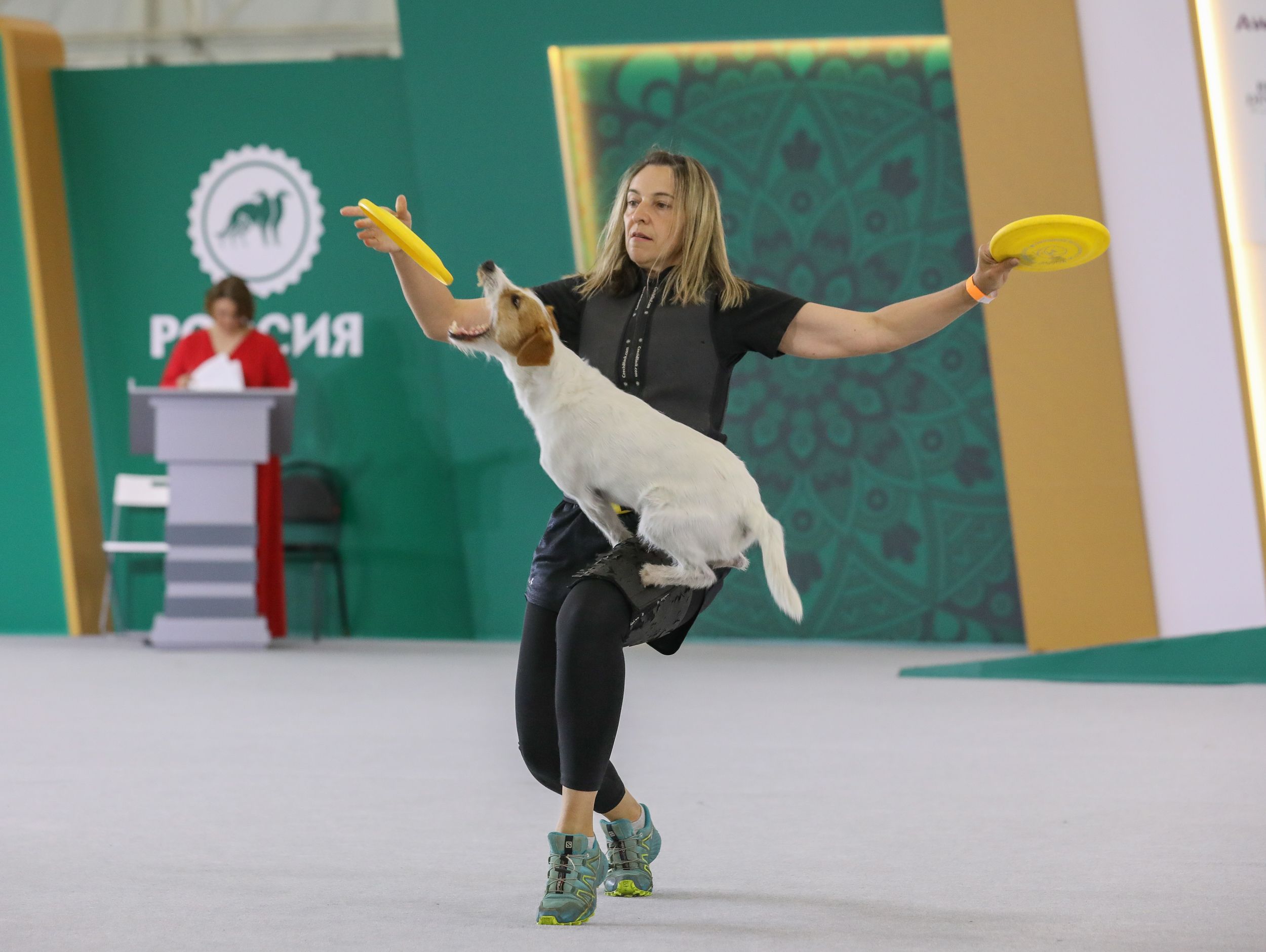 Выставка собак Россия 2026 (9)