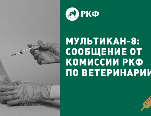 Мультикан-8: сообщение от Комиссии РКФ по ветеринарии