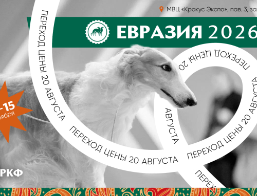 Сегодня завершается первый период регистрации на выставку «Евразия 2026»