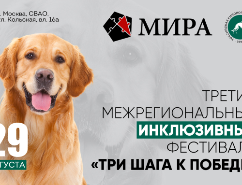 Третий межрегиональный инклюзивный фестиваль «Три шага к победе»