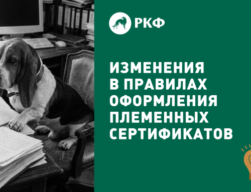 Изменения в правилах оформления племенных сертификатов