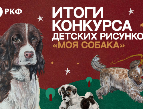 Итоги конкурса детских рисунков «Моя собака»