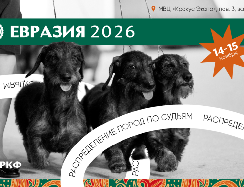Предварительное распределение пород по судьям на выставке «Евразия 2026»
