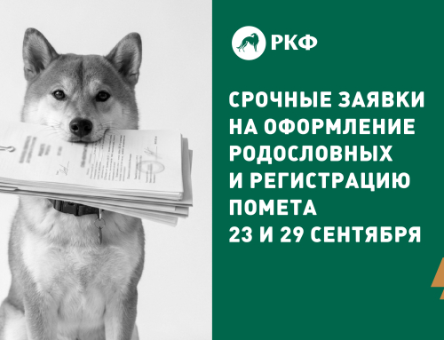 Срочные заявки на оформление родословных и регистрацию помета 23 и 29 сентября