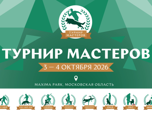 Турнир мастеров