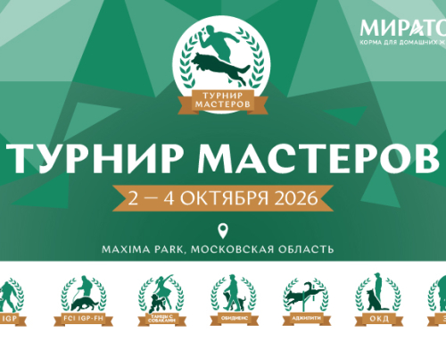 Прием заявок на Турнир мастеров завершен