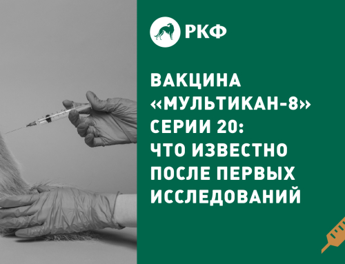 Вакцина «Мультикан-8» серии 20: что известно после первых исследований