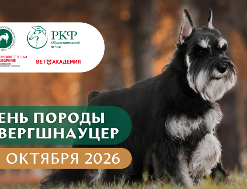 День породы Цвергшнауцер