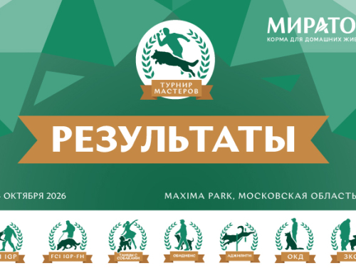 Результаты II Турнира мастеров