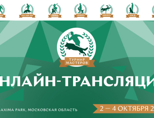 Онлайн-трансляция II Турнира мастеров