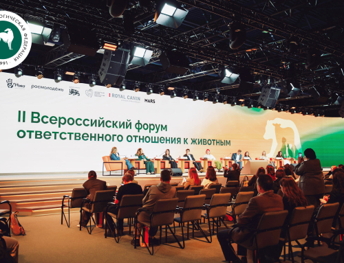 Специалисты РКФ о юридическом механизме ранней профилактики безнадзорности, инфраструктуре и уроках доброты на Форуме ответственного отношения к животным