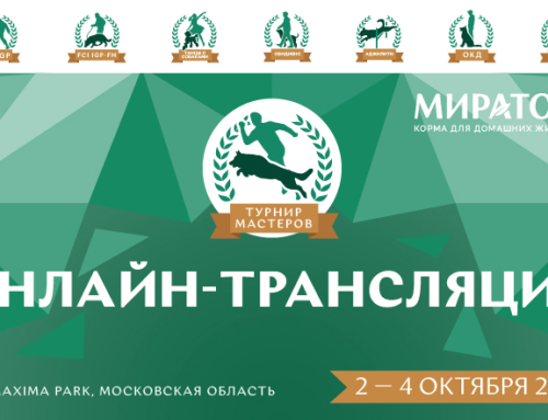 Онлайн-трансляция II Турнира мастеров